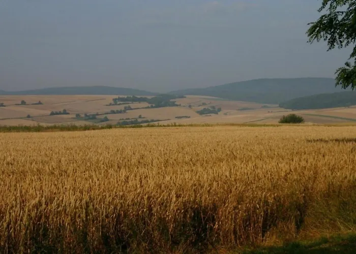 Am Turm Διαμέρισμα Mellrichstadt